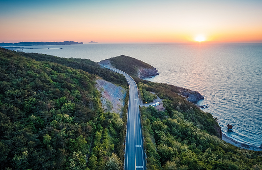威而多官方网站建设